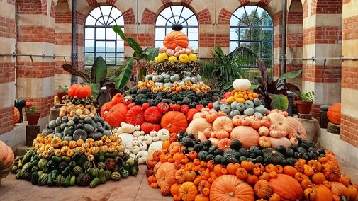 Tyntesfield's Autumn Harvest Display 2025, showing three large piles of pumpkins, gourdes and squashes in an array of shapes, colours and sizes.